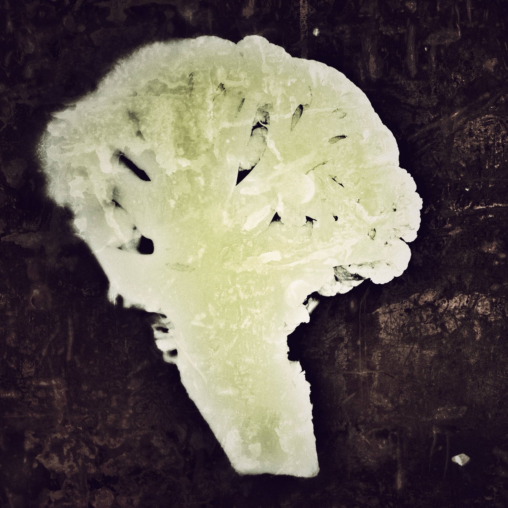 cauliflower cerebellum
